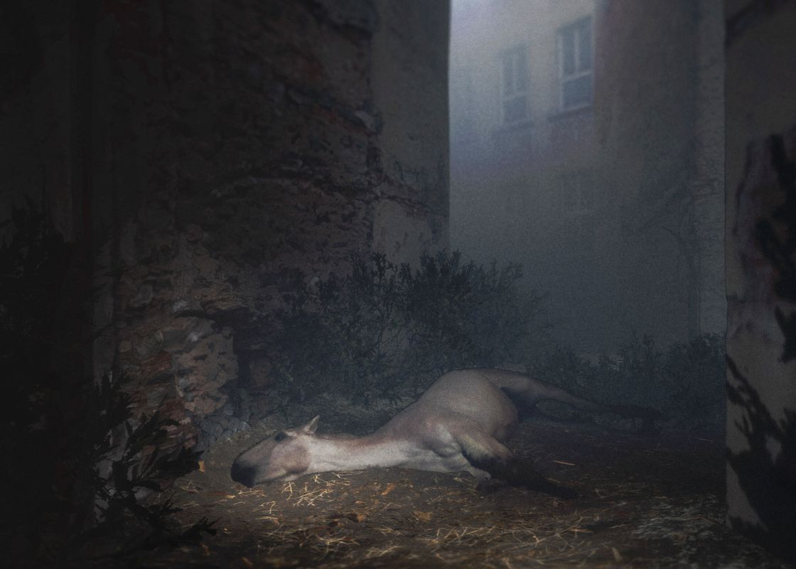 Songs for a Passerby