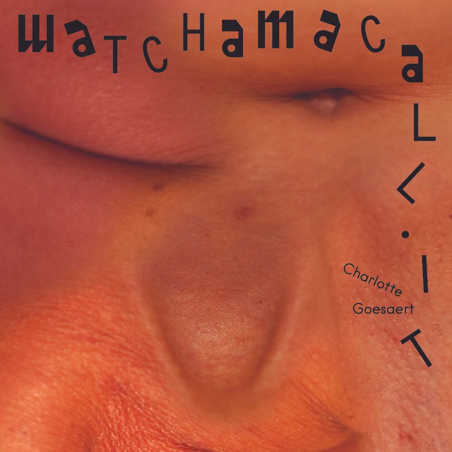 Whatchamacallit - Charlotte Goesaert