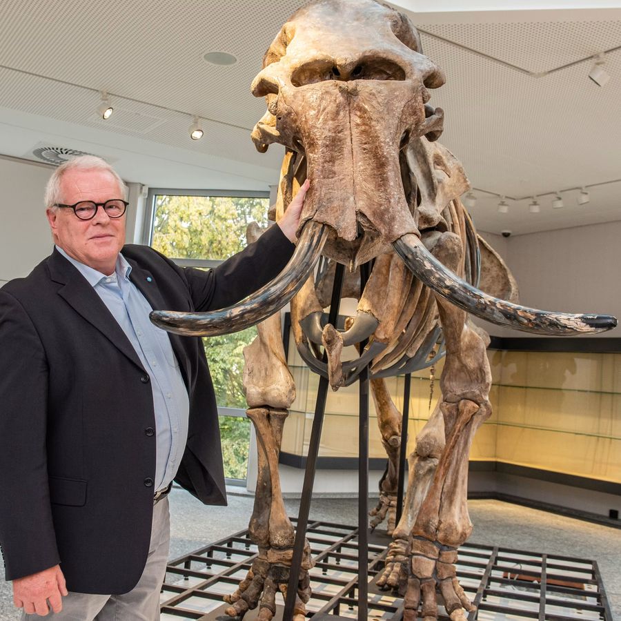 De Noordzee als schatkamer voor paleontologie en archeologie