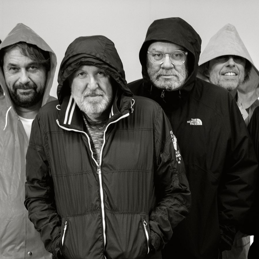 De Dolfijntjes
