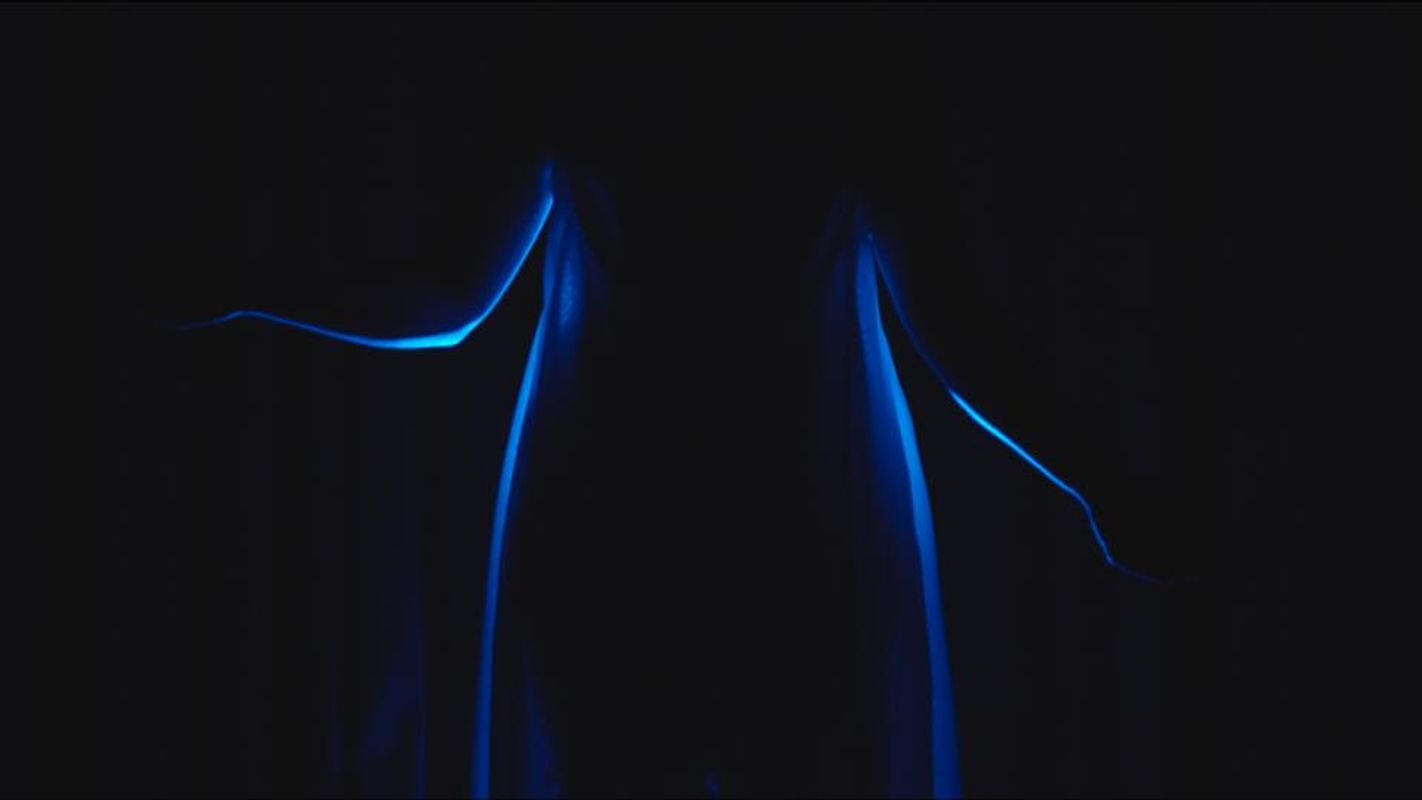 Embodied Visions