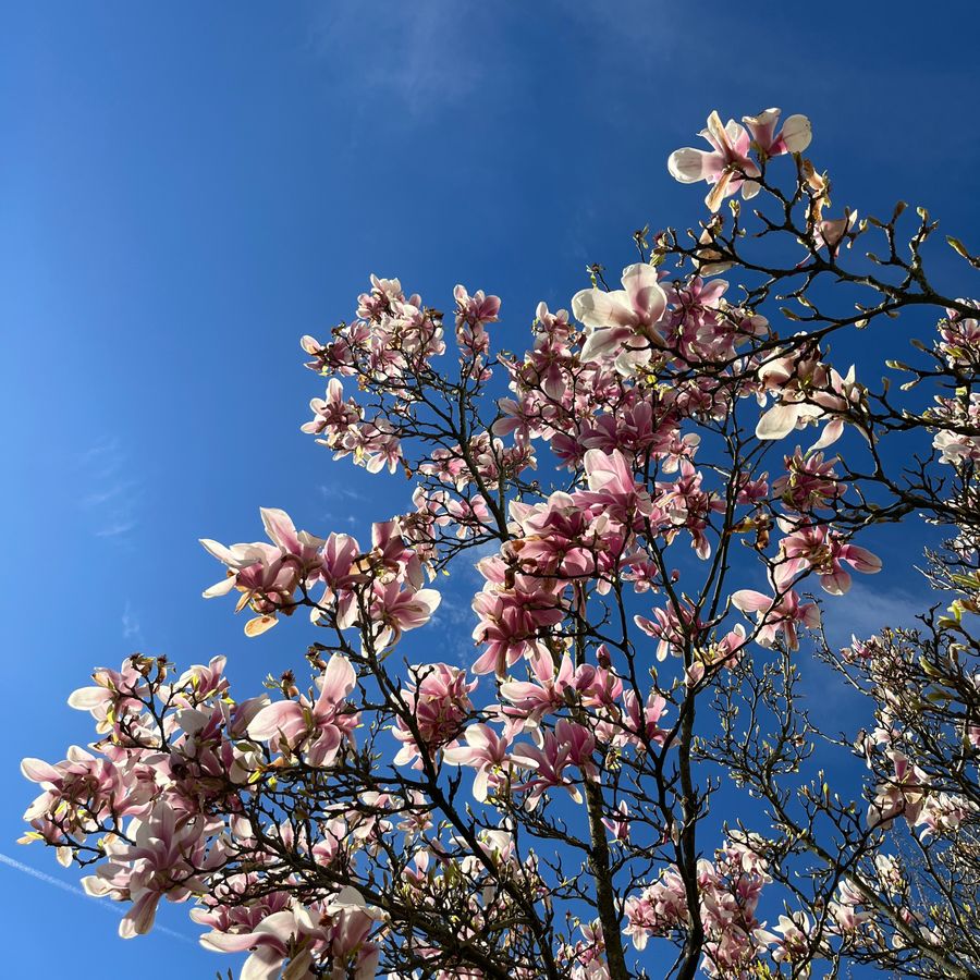 Luisterplek - BlinkOut